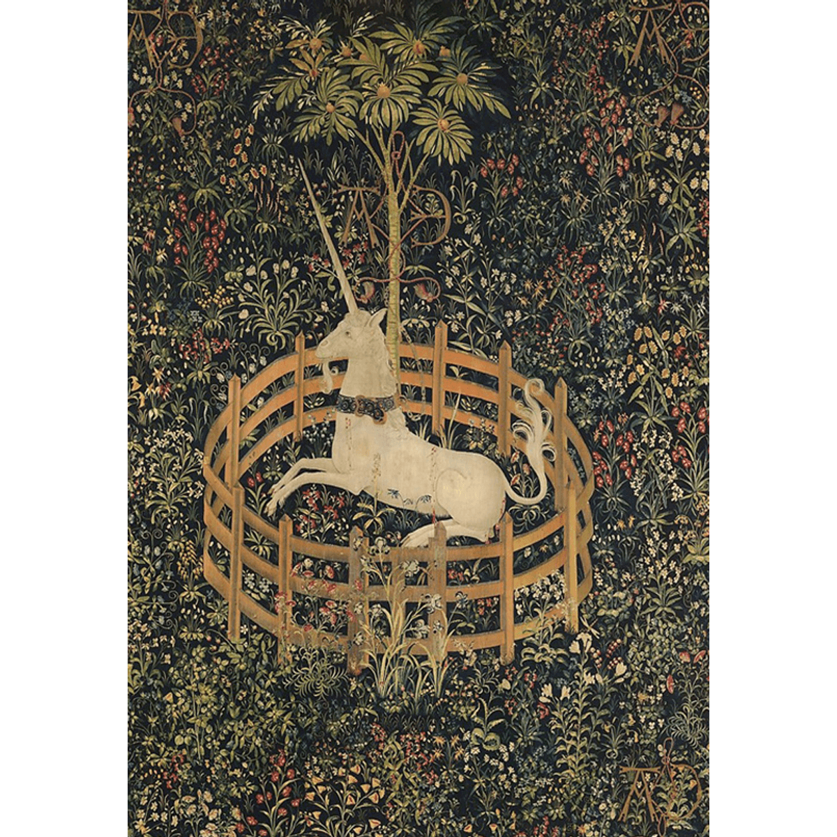 The Medieval Bestiary – Sabina Savage