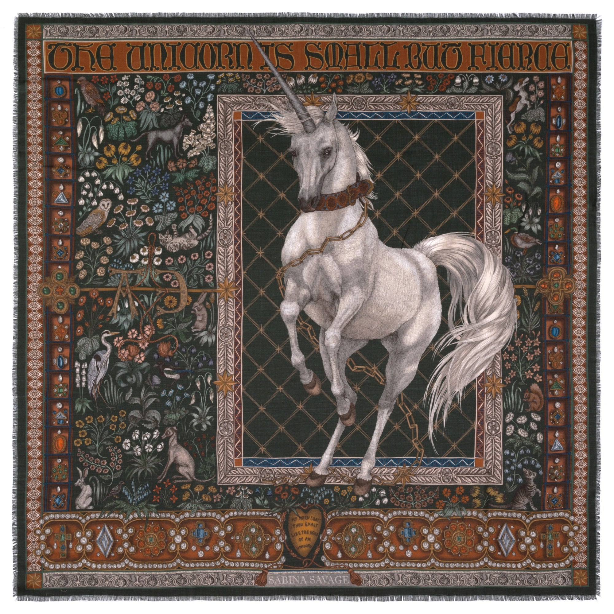 The Medieval Bestiary – Sabina Savage